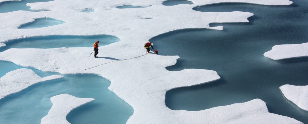Investigadors a l'Àrtic, 2011. 
