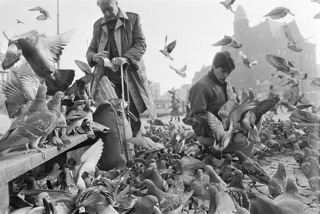Palomas en una plaza. Amsterdam, 1984