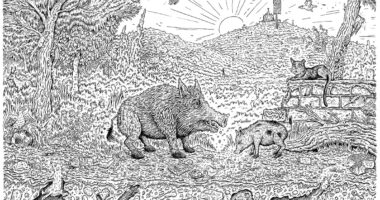 La ciutat contradomesticada: Barcelona i els porcs senglars