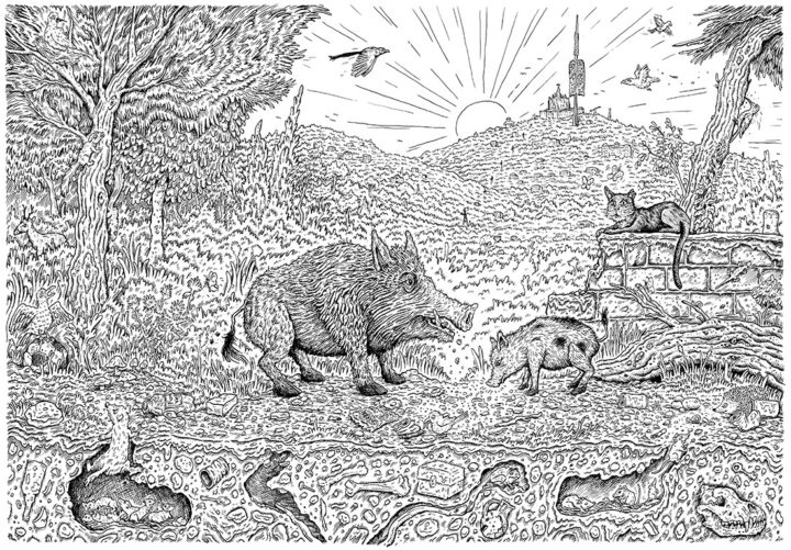 The Counter-Domesticated City: Barcelona and Wild Boars