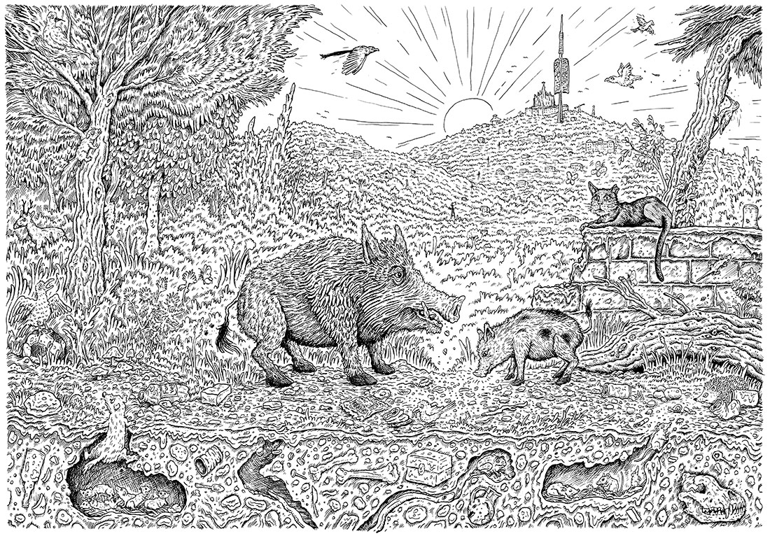 Illustration by Evin Collis
