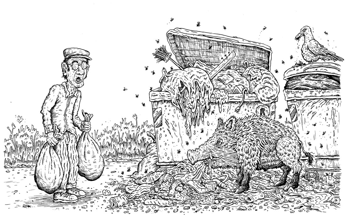 Illustration by Evin Collis