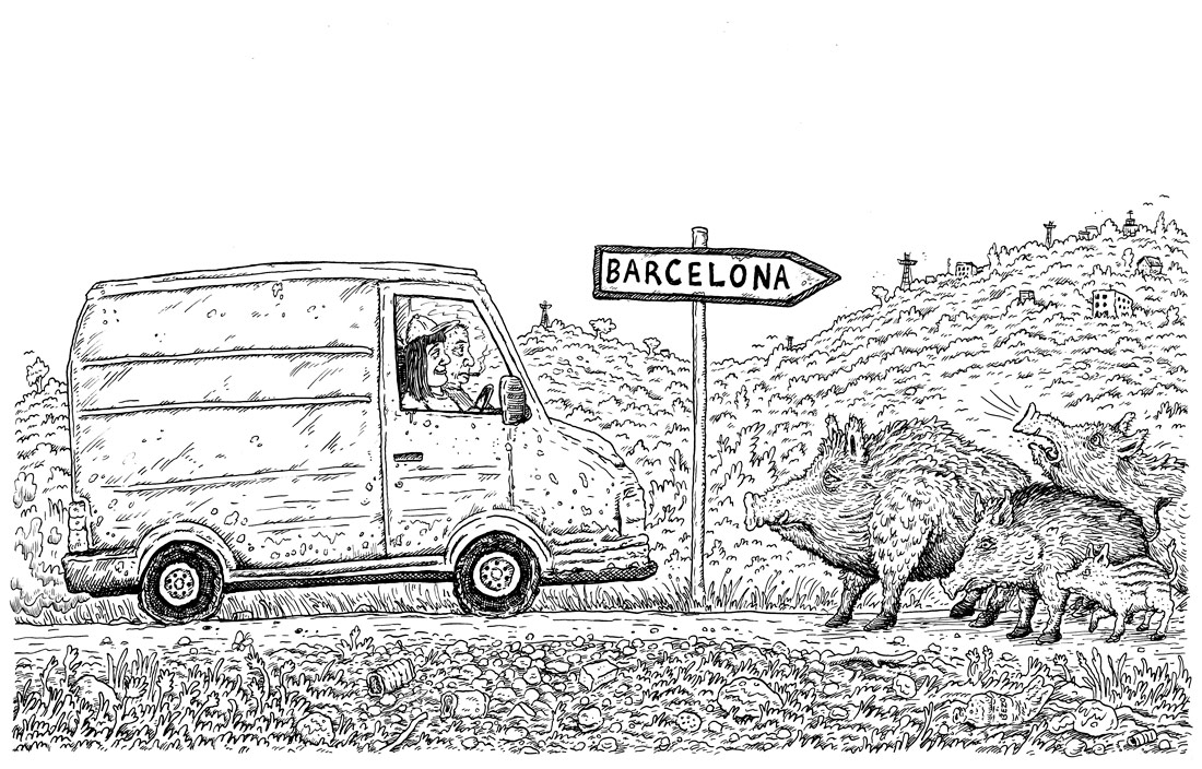 Illustration by Evin Collis