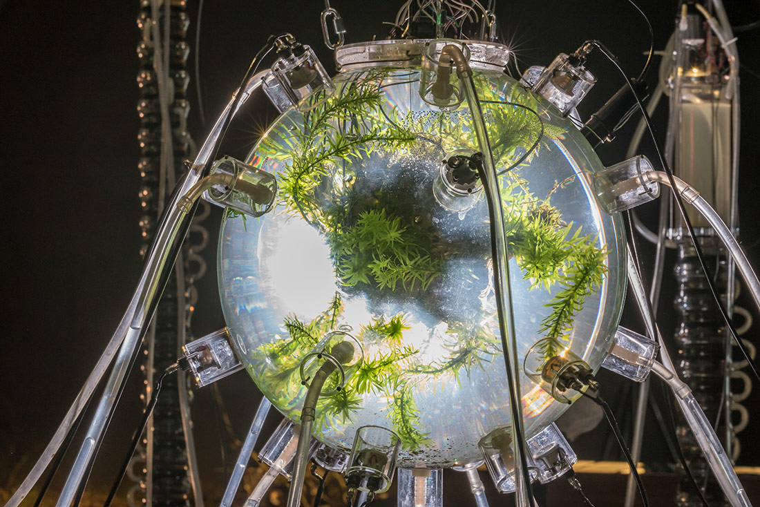 Gilberto Esparza – Plantas autofotosintéticas. Vista de la instal·lació en el marc de l’exposició «OU\ /ERT: Phytophilia, Chlorophobia, Situated Knowledges», Emmetrop Bourges, 2019 (Foto d’Axel Heise.)