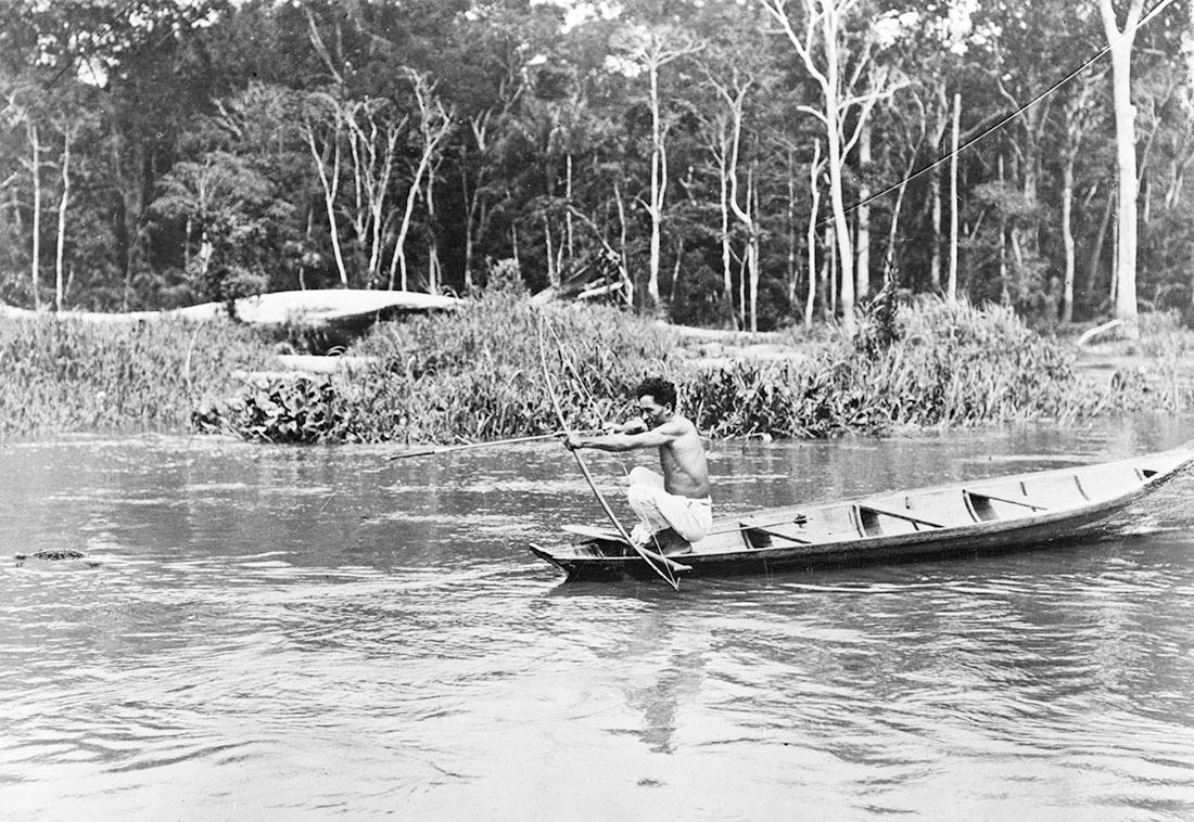 Shooting fish on the Amazon. Brazil, 1890-1923