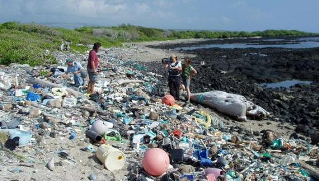 Desechos marinos en Kamilo Beach, Hawaii.