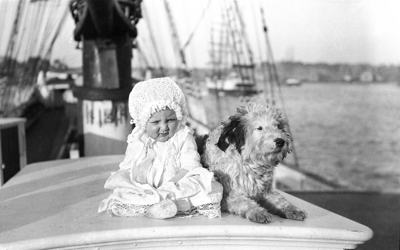 Un bebè i un gos en un vaixell de vela. Sydney, c. 1910 | Samuel J. Hood, Australian National Maritime Museum | Sense restriccions conegudes de drets d’autor