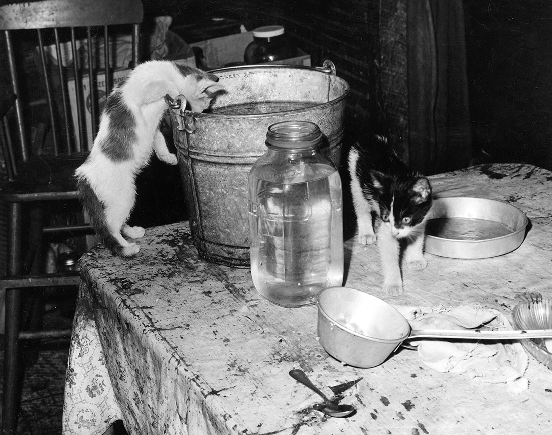 La cuina de la casa d'un miner. Kentucky, 1946
