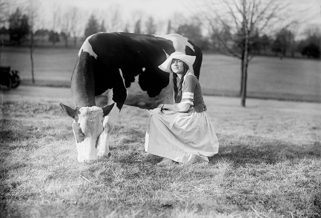 Virginia Eckles vestida de lechera con una vaca. 1919
